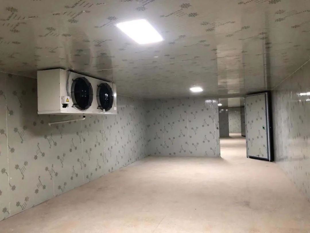 代县气调保鲜冷库造价